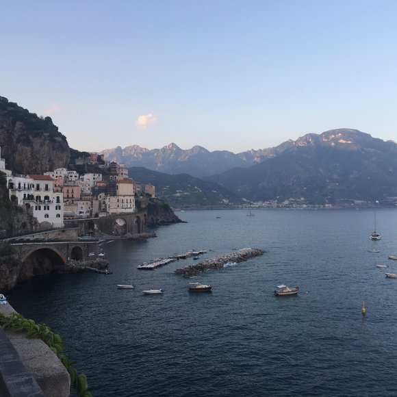 Meet your Posher, Liza - Picture 1 of 1